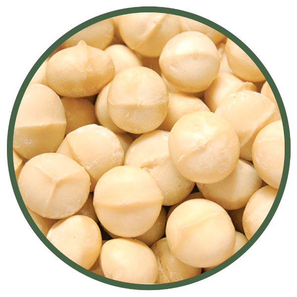 macadamia processors South Africa - Mac-Eden Estate