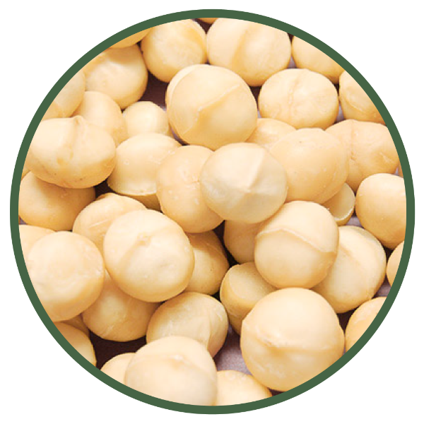 macadamia processors South Africa - Mac-Eden Estate